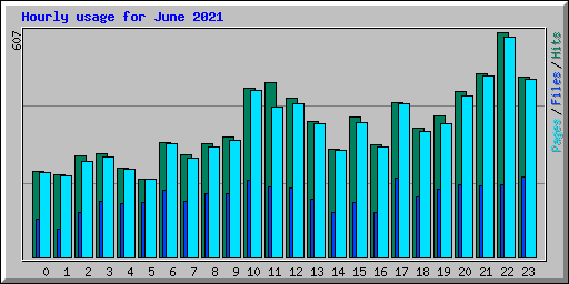 Hourly usage for June 2021